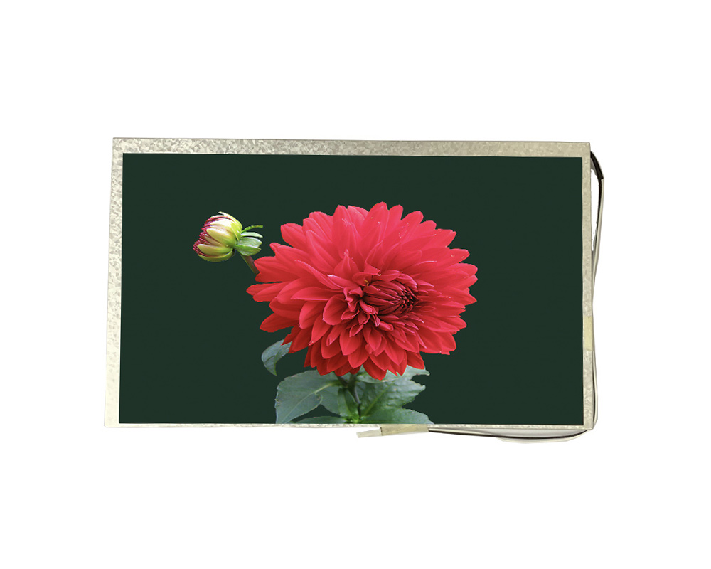 7.0 inch 1024*600<br/>(LVDS + high brightness)