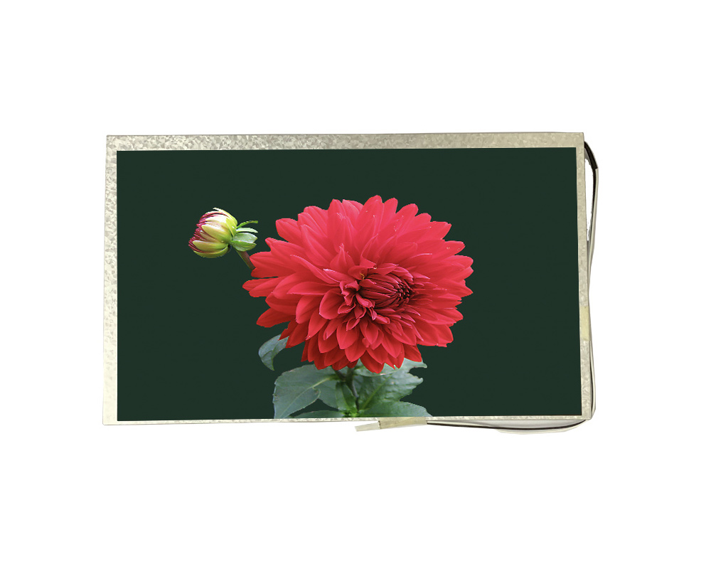 9.0 inch 720*1280<br/>(MIPI + IPS + high brightness)