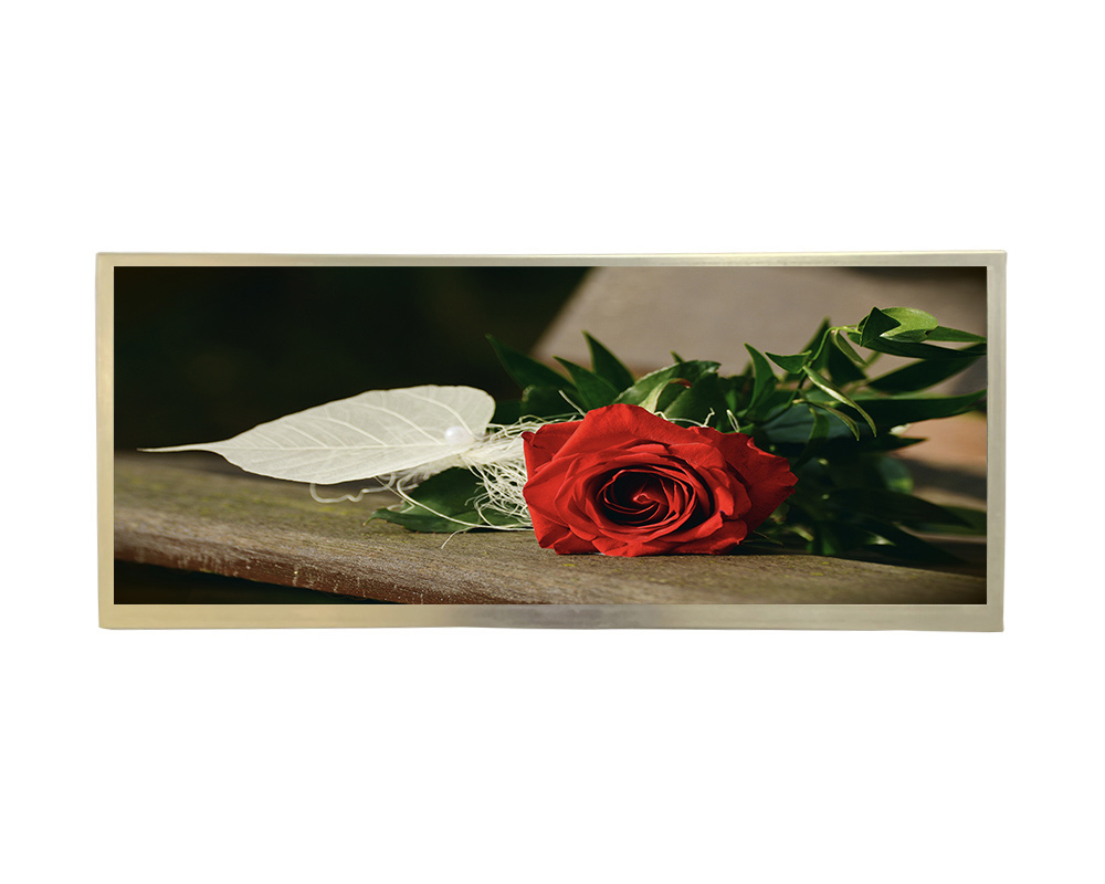 12.3 inch 1920*720<br/>IPS + BAR LCD