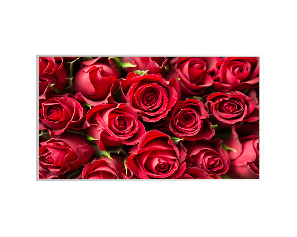 15.6 inch 1920*1080<br/>eDP & IPS NEW