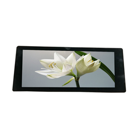 10.3 inch CTP<br/>(I2C + capacitive touch)