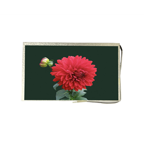 7.0 inch 1024*600<br/>(LVDS + high brightness)