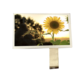 8.0 inch 800*480<br/>(TTL)