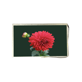 9.0 inch 720*1280<br/>(MIPI + IPS + high brightness)