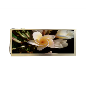 10.3 inch 1280*480<br/>IPS + BAR LCD
