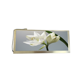 10.3 inch 1920*720<br/>IPS + BAR LCD