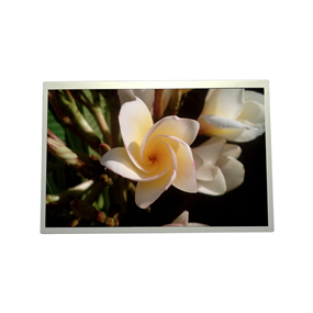 12.1 inch 1024x768<br/>Original + IPS + 4:3 industrial panel
