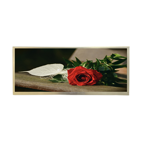12.3 inch 1920*720<br/>IPS + BAR LCD