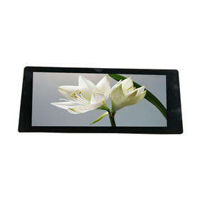 10.3 inch LCM+OCA+CTP<br/>(I2C + capacitive touch)